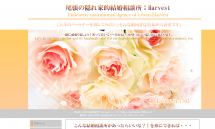 結婚相談所 [Harvest（ハーベスト）]愛知県一宮市　婚活