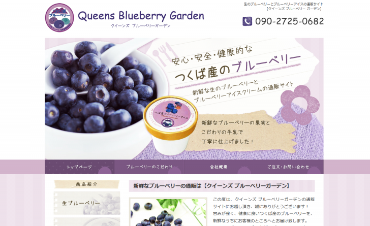 生ブルーベリーとブルーベリーアイスの通販【QueensBlueberryGarden】