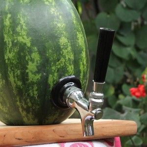 fs-kit-faucet-shank-watermelon-b2_3