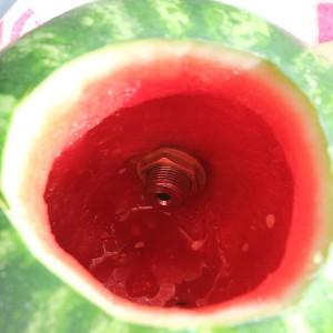 fs-kit-faucet-shank-watermelon-b4_3