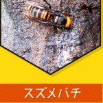 中嶋養蜂